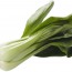 Пак чой, бак чо油菜 - 